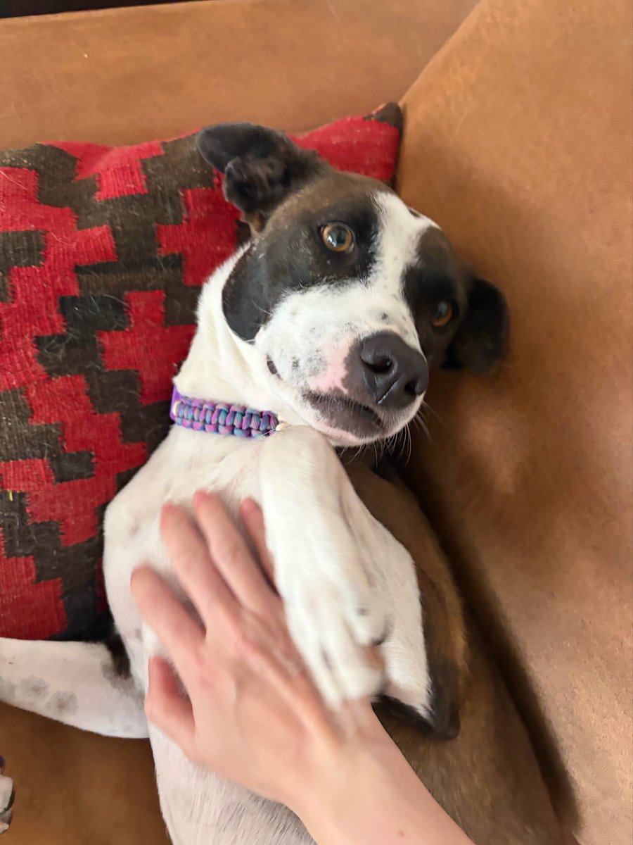 プケ&マイキード🇹🇭 tweet media