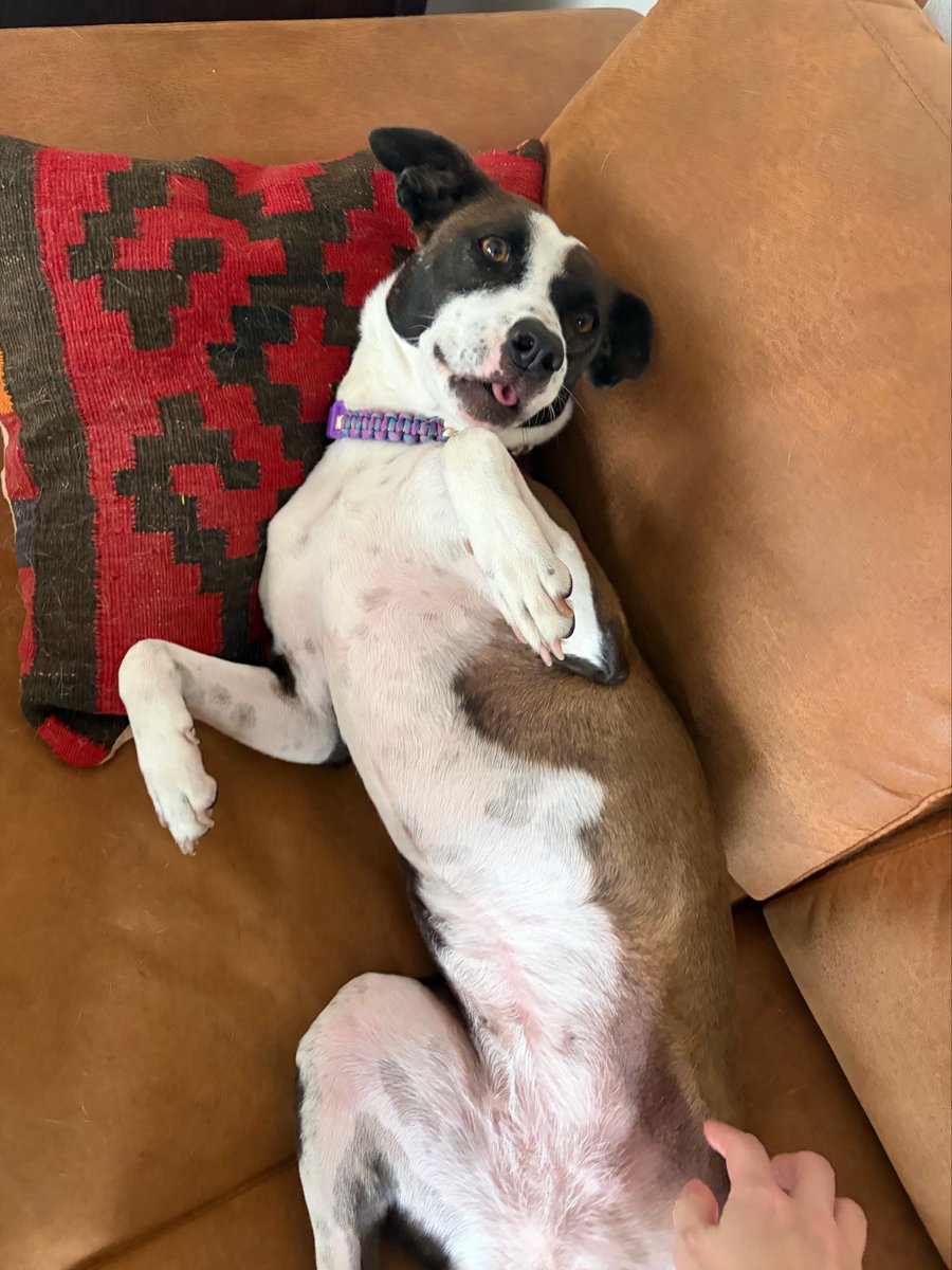 プケ&マイキード🇹🇭 tweet media