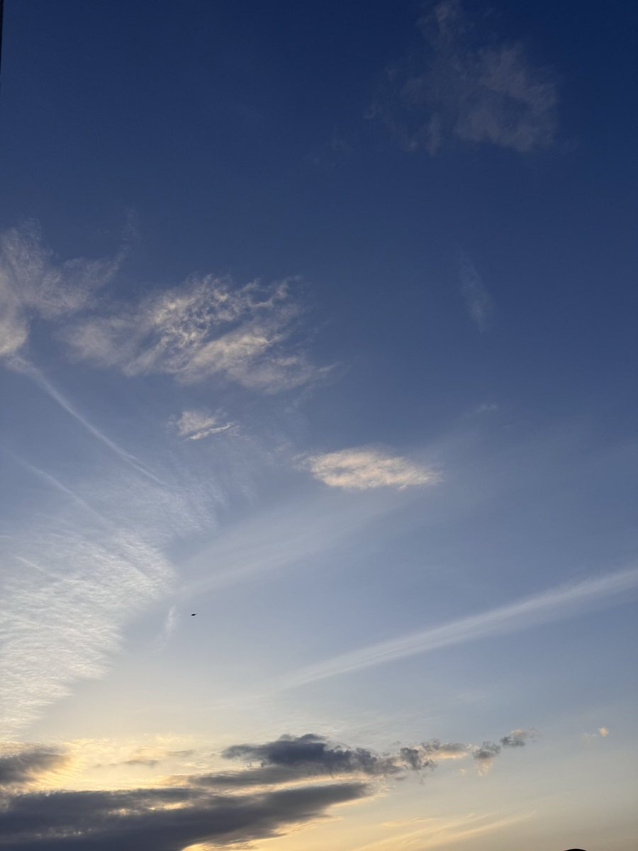 hekoyumi tweet media