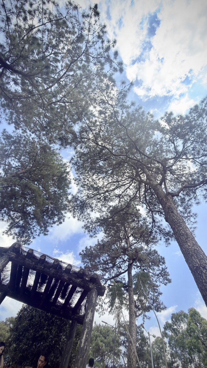 amriksaini787's tweet photo. Bayan Park in Aurora Hill, Baguio City https://t.co/3Z0EJn5lqo