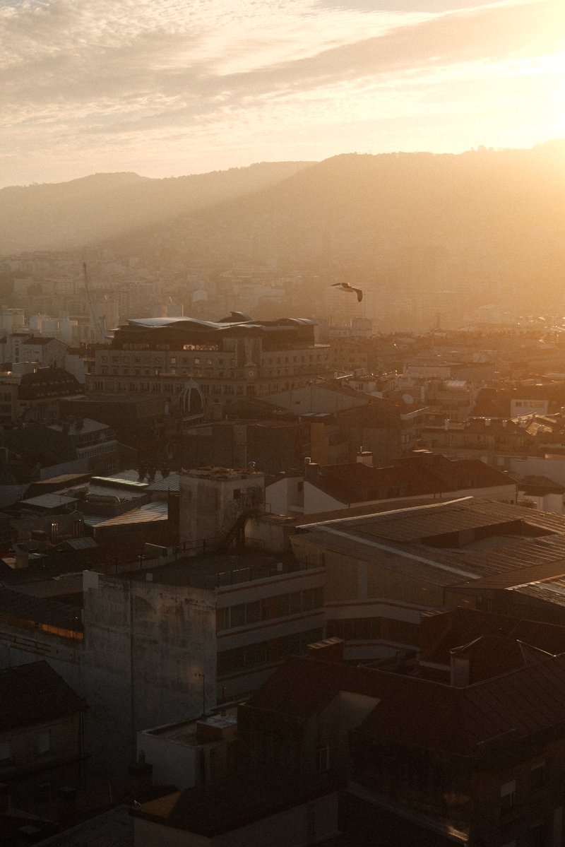 #TK17 || ⚪️🔴 || tweet media