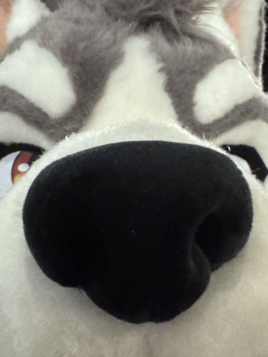 Vincent 🔜 UTFG tweet media