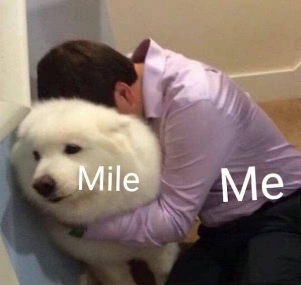 mmeijile's tweet photo. มุอ้วง 🥹🥹🥹🥹 #ShineSGNFanGreeting
#MilePhakphum https://t.co/HFkRjNungZ