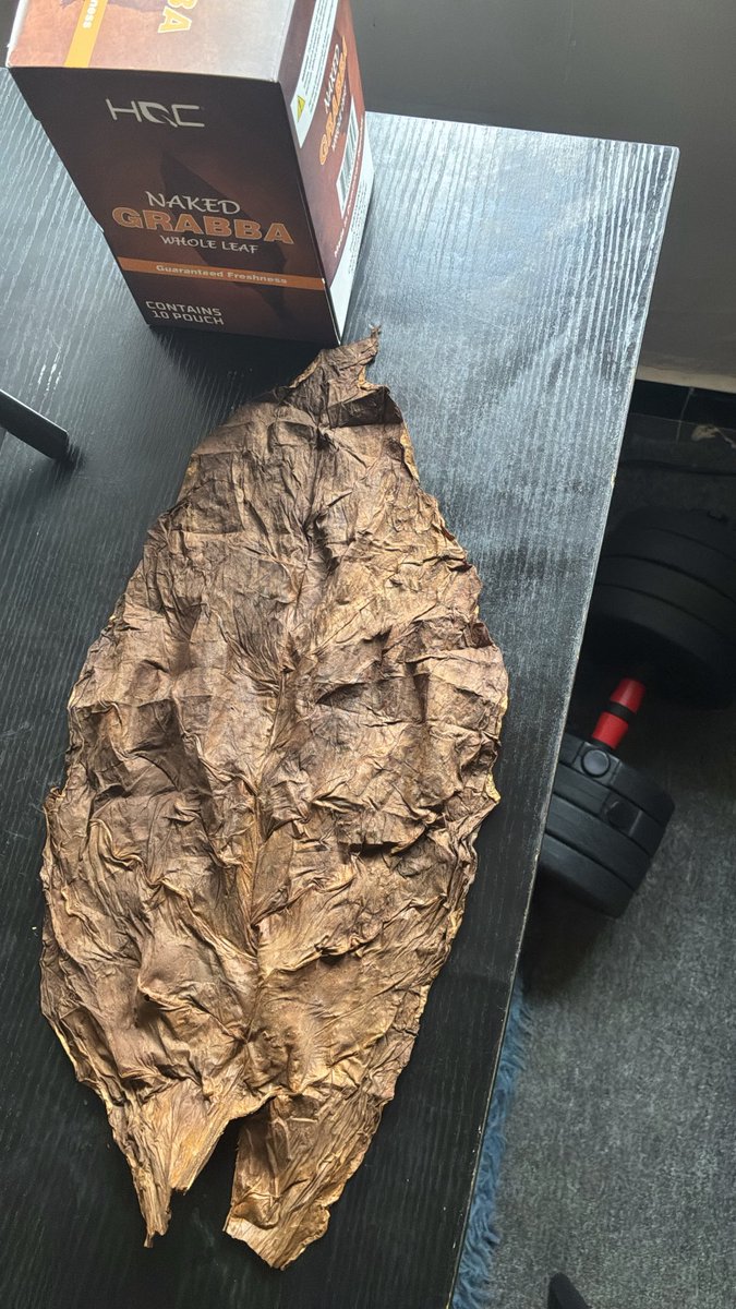 URGLY GRAMM🍃 tweet media