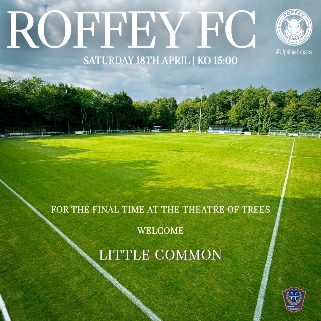 Roffey Football Club tweet media