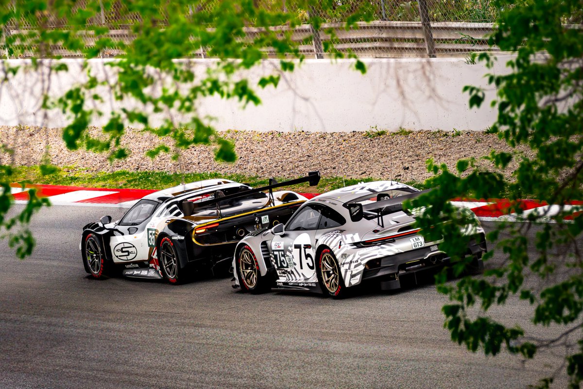 ocanom☀️ tweet media