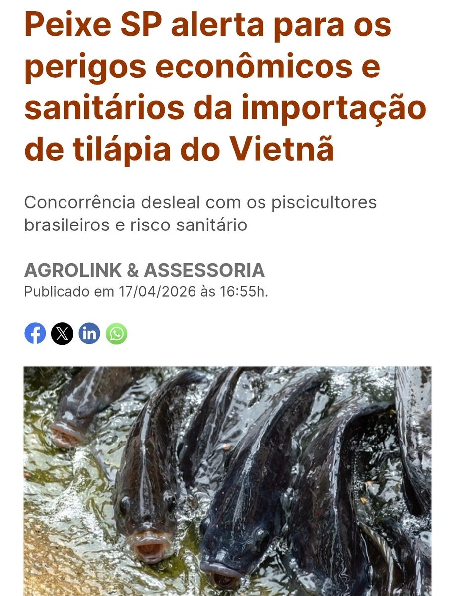 Colocaram a Tilápia na lista de espécies "exóticas invasoras" dificultando a criação.  Mas a JBS vai importar toneladas do Vietnam.