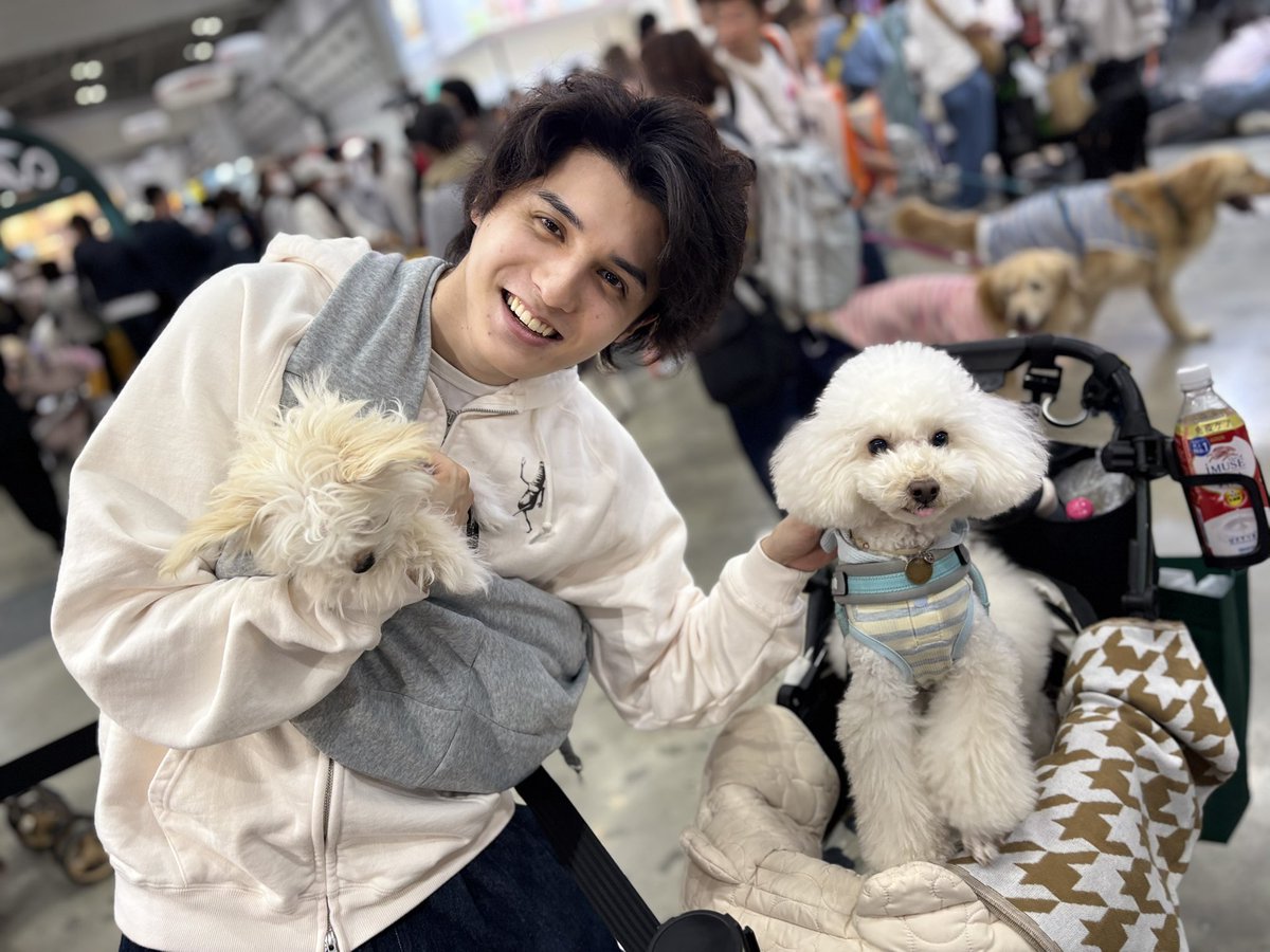 o_chanosuke's tweet photo. インターペットで
まさかのスタさん居て
写真撮ってもらった嬉しすぎる♡
しゅうまい君は
ももの助の小さい頃に似て
かわいかった〜♡
うちもクソガキです

#インターペット東京
#スタンミじゃぱん
#しゅうまい君 https://t.co/AmasROn3Af