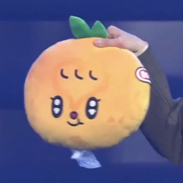 우지냥이 tweet media