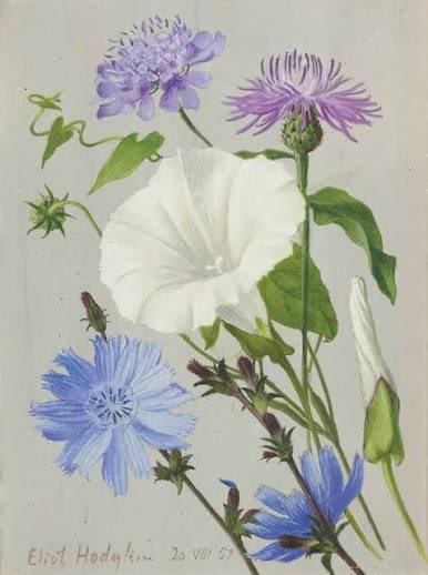 Alexandra Epps tweet media