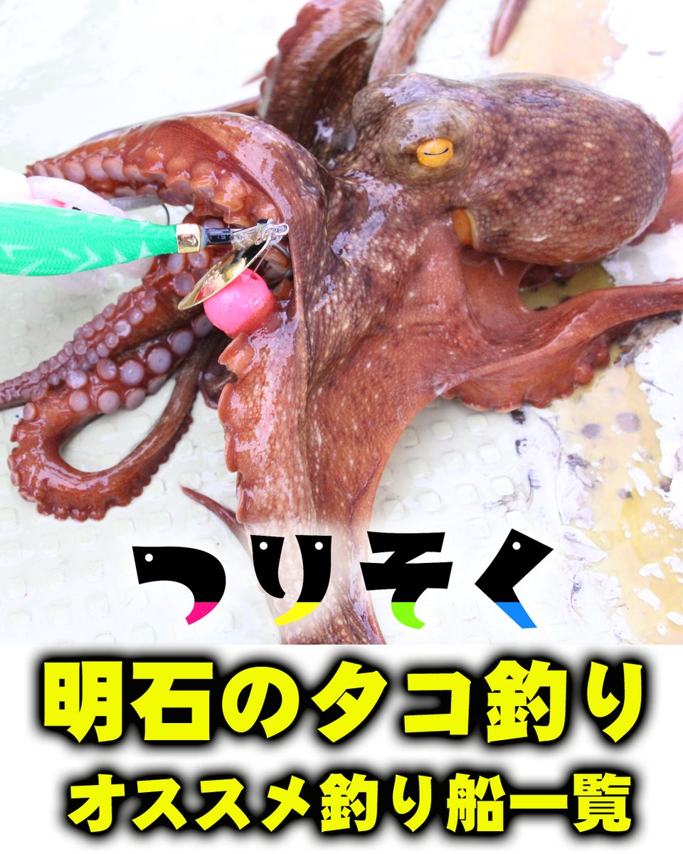 5/1解禁🐙GW明石タコ船、まだ空きあります！】 超人気のブランドダコ