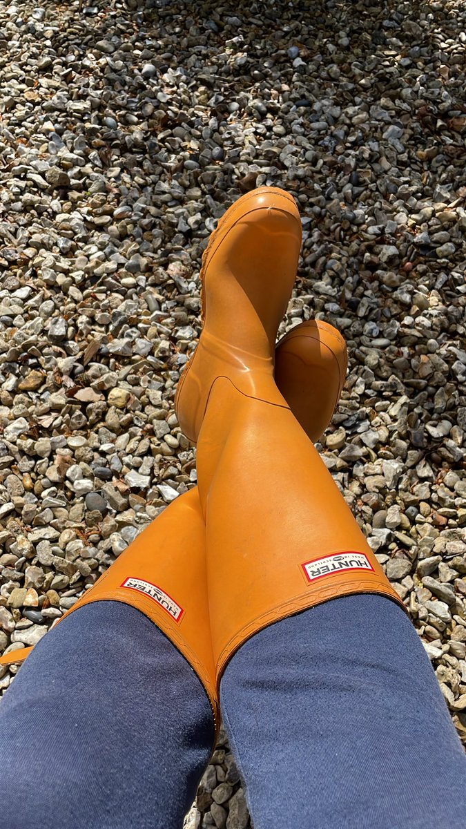 pikewilliam43 tweet media