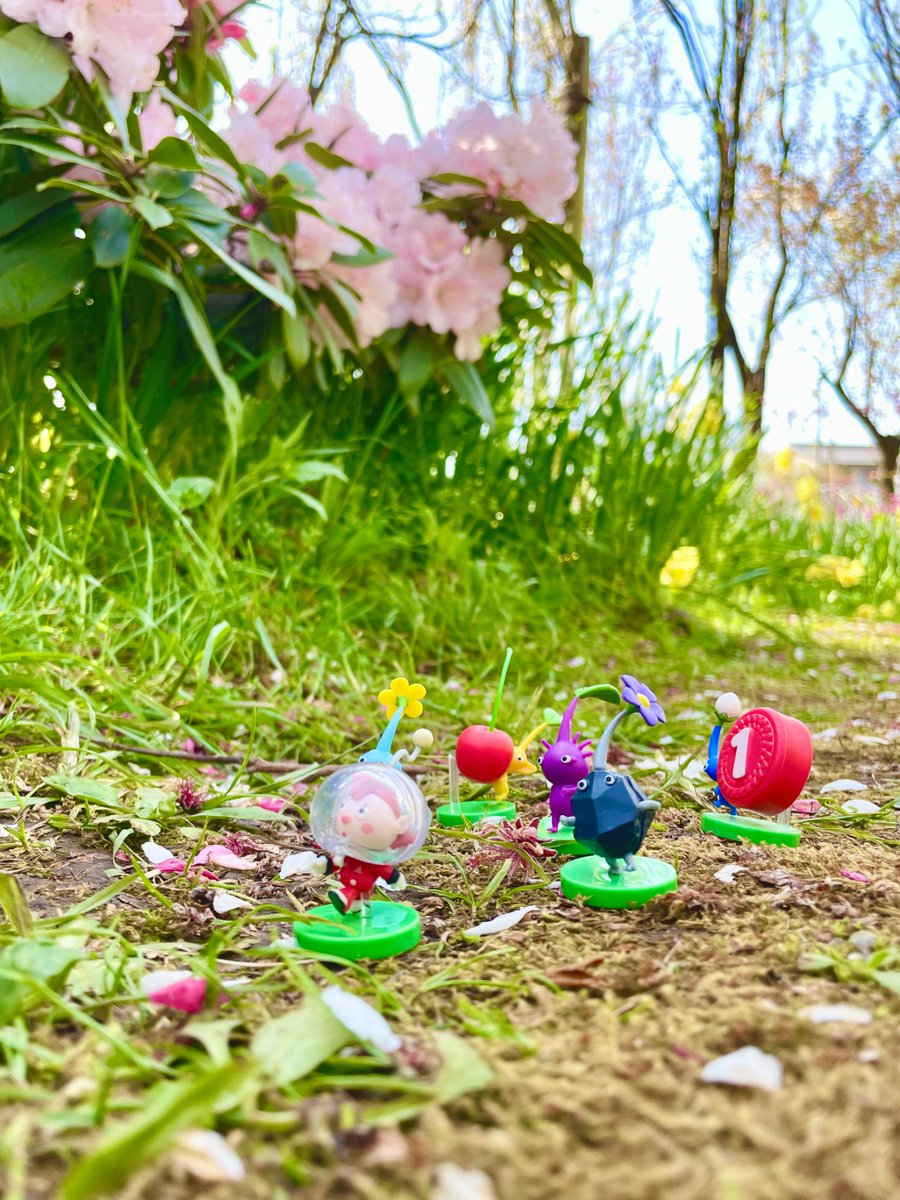 春ポカポカな庭園をピクミン小隊探索中✨