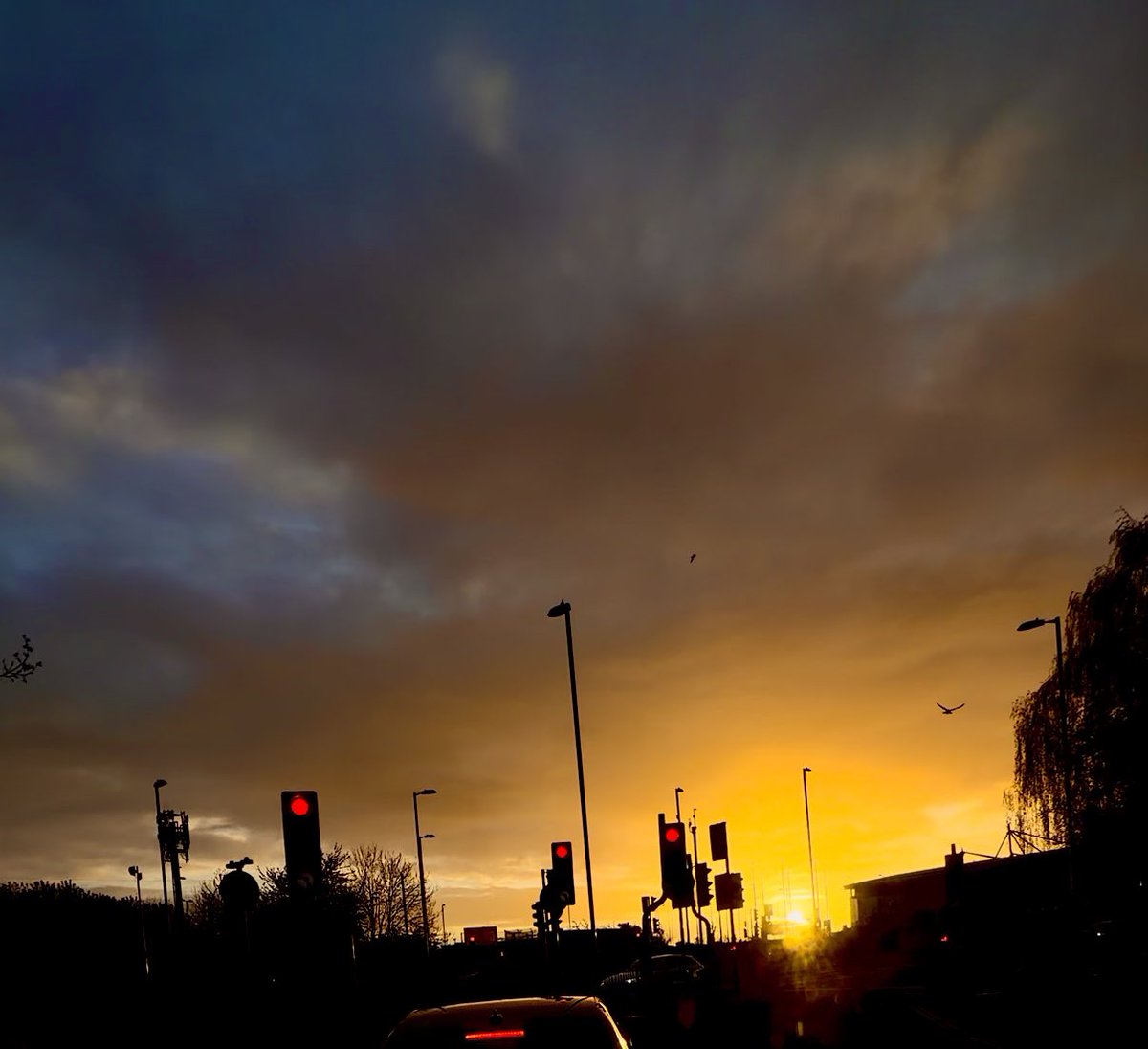 ionutEmatei's tweet photo. My type of mornings! ❤️#photography #streetphotography #citylife #photo_of_the_day #Photography101 https://t.co/4uH5KWAlyG