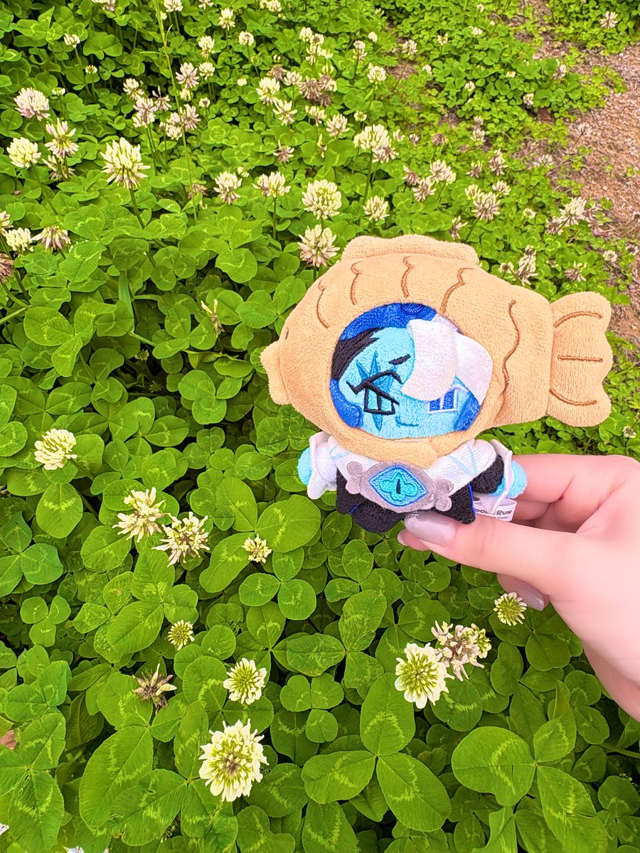 miso(さば) tweet media