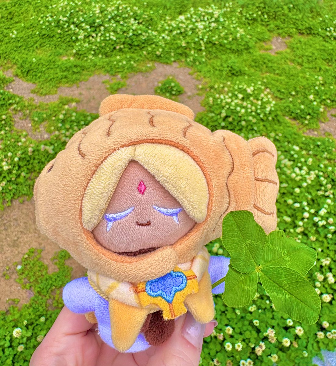 miso(さば) tweet media