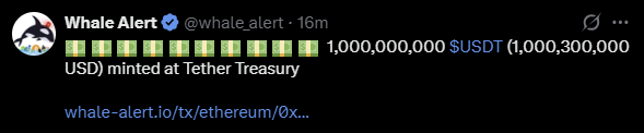 Conor Kenny tweet media