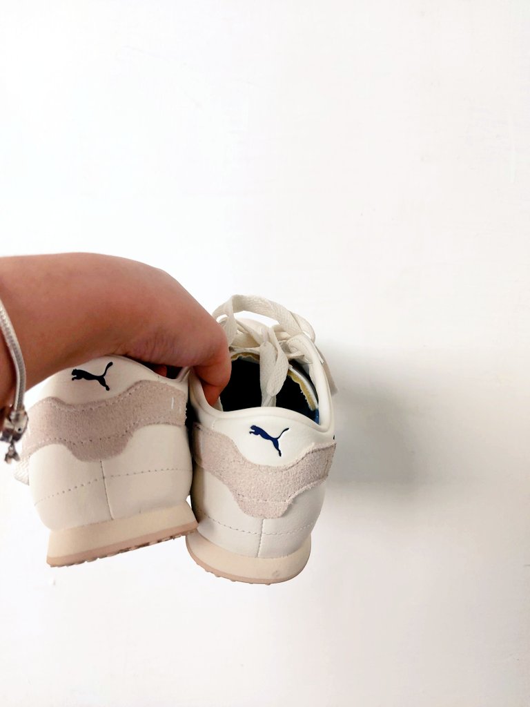 dav 🍣 tweet media