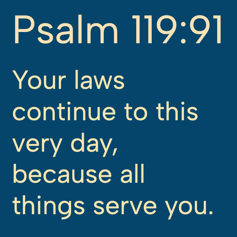 Daily Bible tweet media