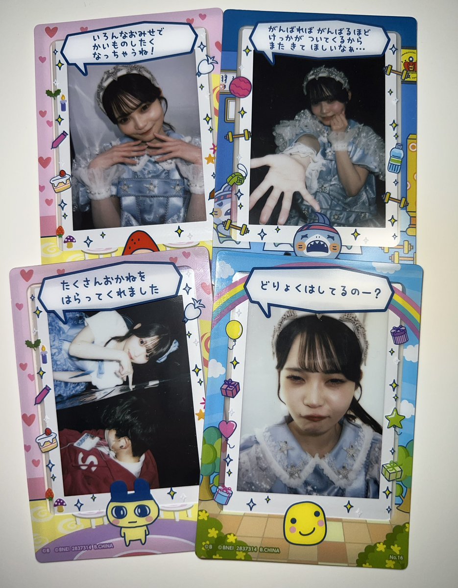 たぬきち tweet media