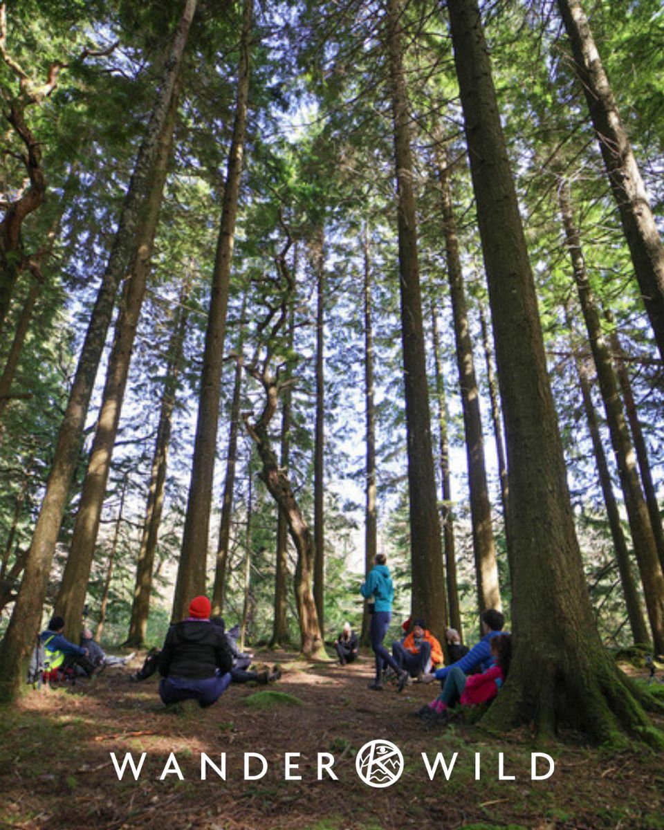 Taking on the WanderWild Festival this weekend?
We’re located just a few minutes' stroll from the National Park &amp; Killarney town centre—the perfect pitstop to recharge your batteries. Open daily from 12:30pm

#wanderwild #killarney #kaynes #ourkillarney

📸Valerie O'Sullivan