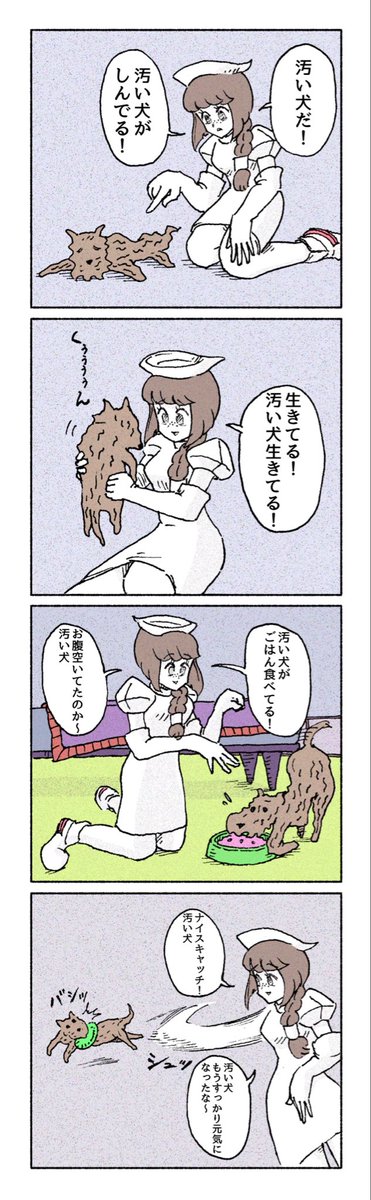 イルカのお医者さん tweet media