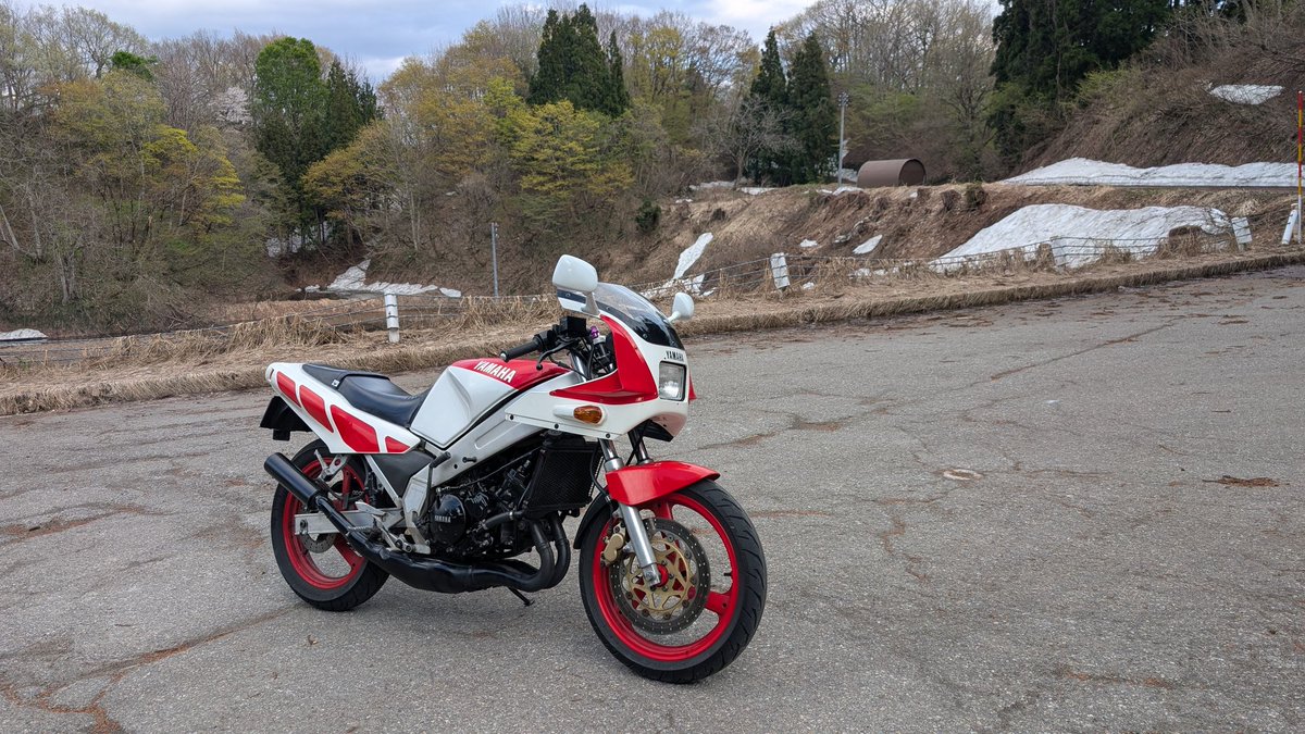 ジロー tweet media