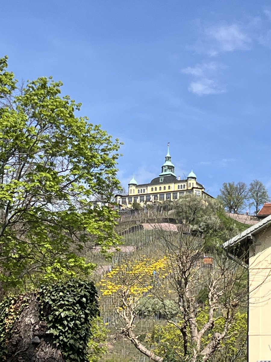 Minerva27930336's tweet image. Ein fröhliches Hallo vom Weinberge Radweg🌸☺️
Das Wetter lockt und das Moritzburger Umland ist immer einen Ausflug wert🫶🏻

#Sachsen
#Heimat
#sachsenistschön