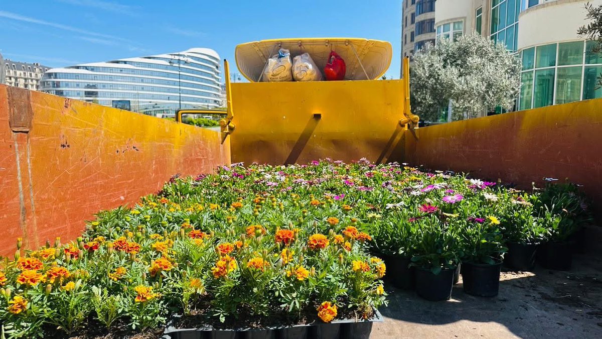 parvanaveliyeva's tweet image. We took part in the next “tree planting” campaign held in my constituency- Khatai district of Baku 🇦🇿 by the local executive power as part of “The Year of Urban Planning and Architecture”. 

The activity was organized to protect the #environment and maintain #ecological balance.