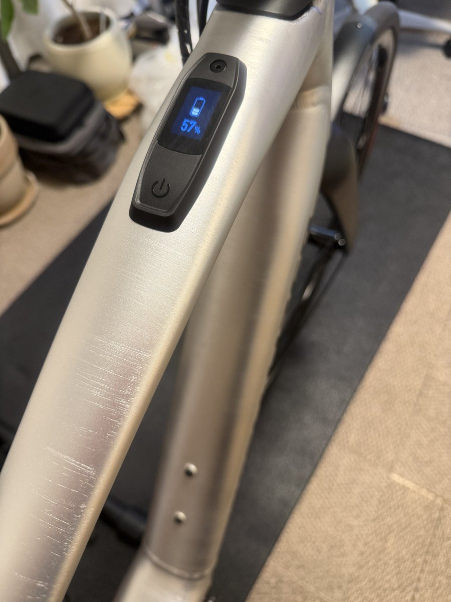 横須賀ふたば tweet media