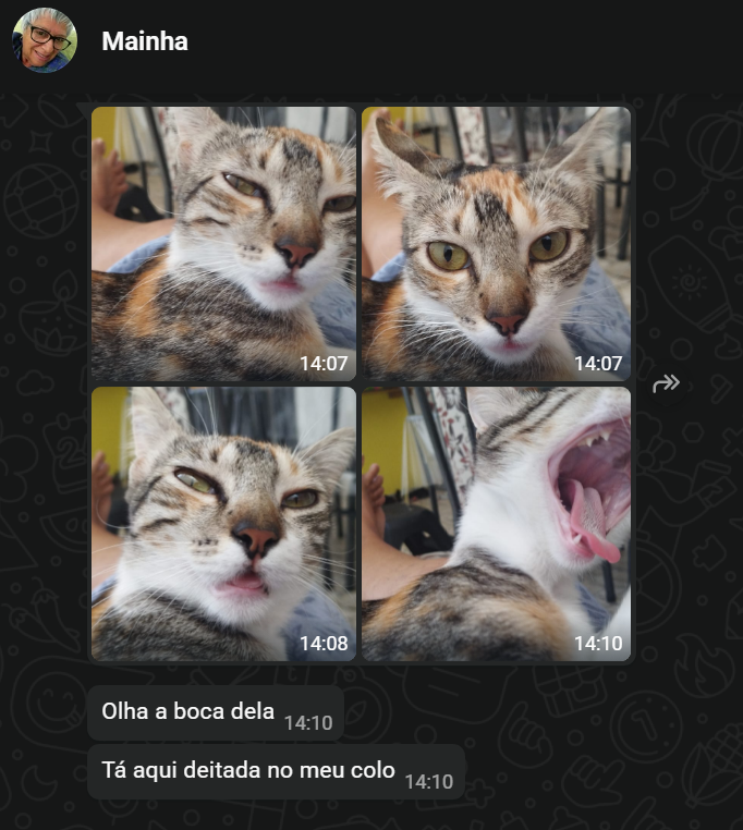 lismarbs's tweet photo. acho a coisa mais fofa mainha com um pet de novo mandando fotinha do nada durante o dia, coração fica quentinho 🥰 https://t.co/3goKm1ZU9H