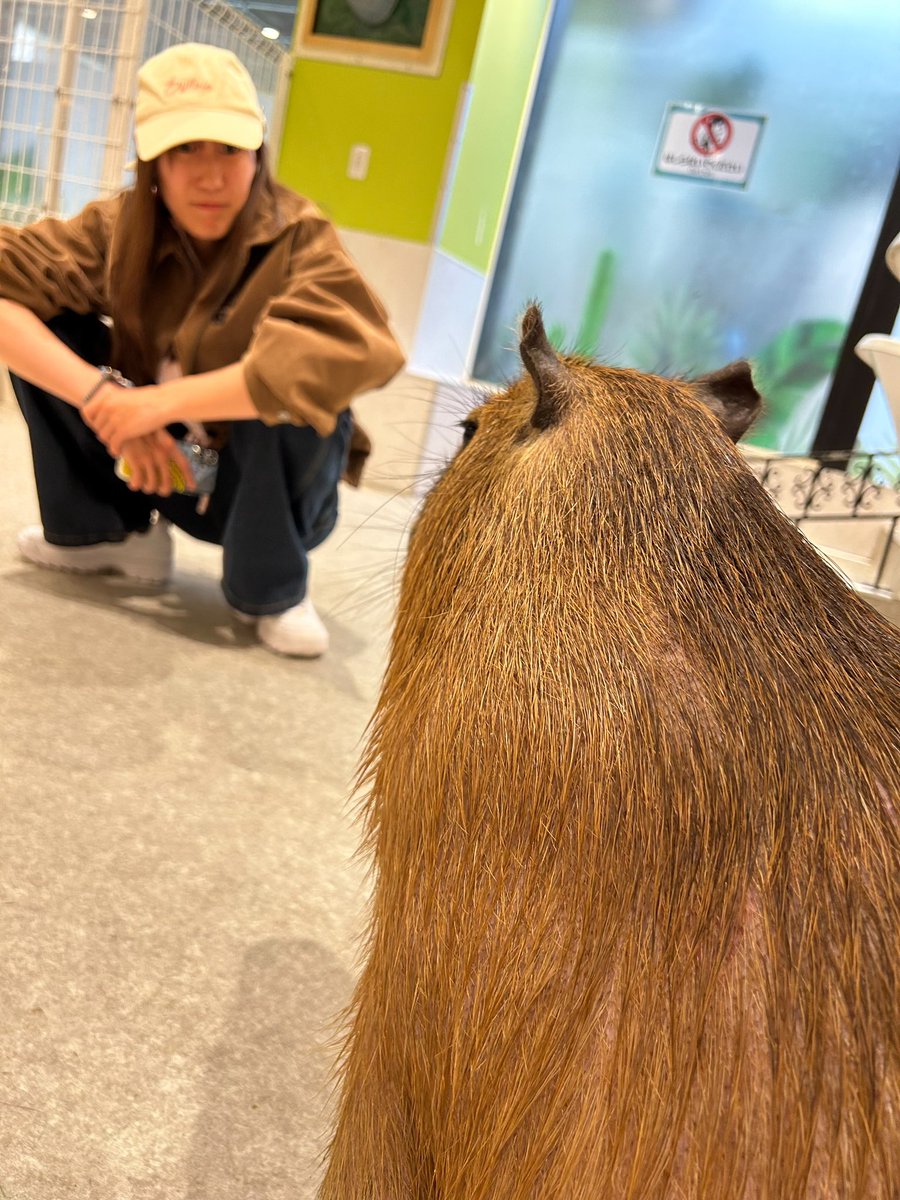 酒井菜々子 tweet media