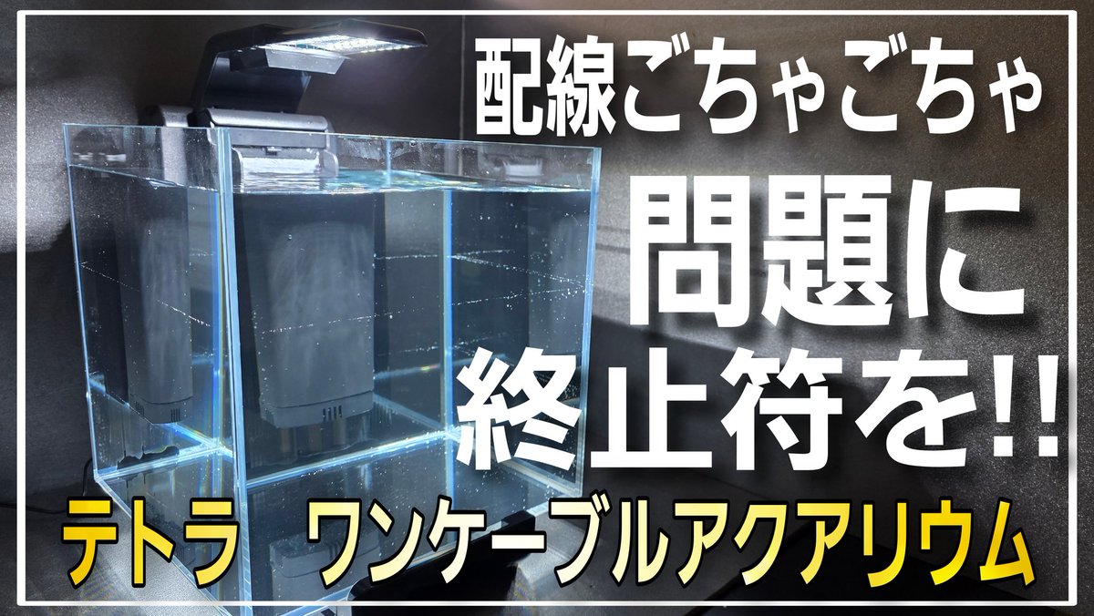 なおなお軍曹AQUA&Familyチャンネル tweet media
