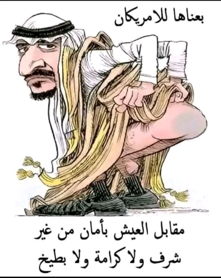 ☬مجاهد☬ tweet media
