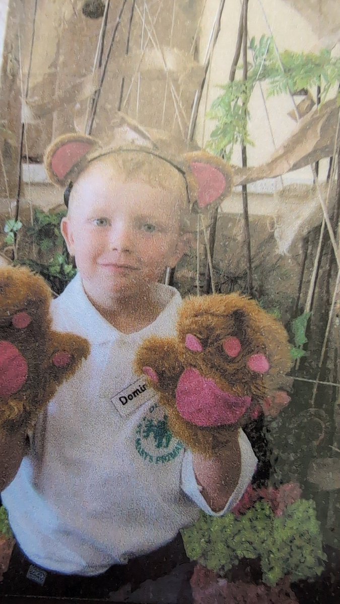 KingDom329 tweet media