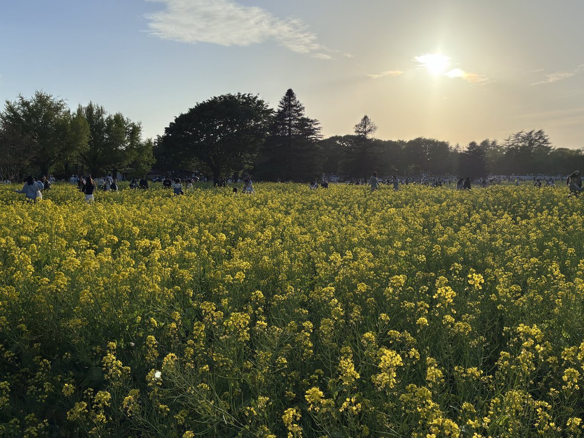 ラムネ tweet media