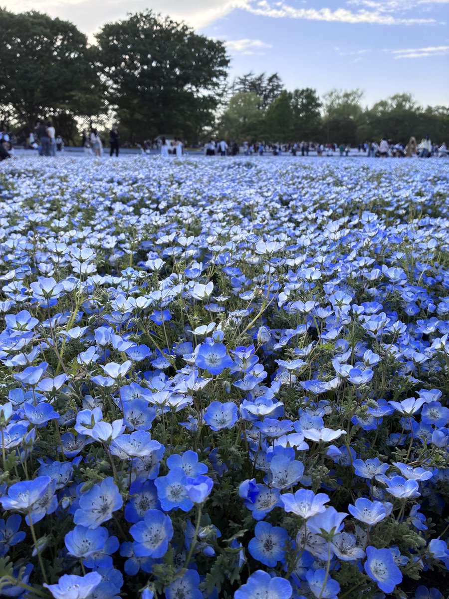 ラムネ tweet media