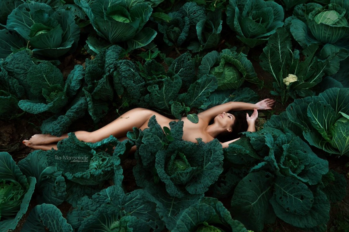 ShowGirls tweet media