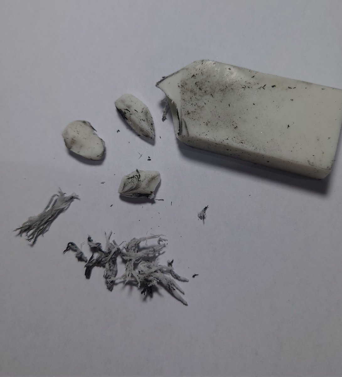 森田まさのり tweet media