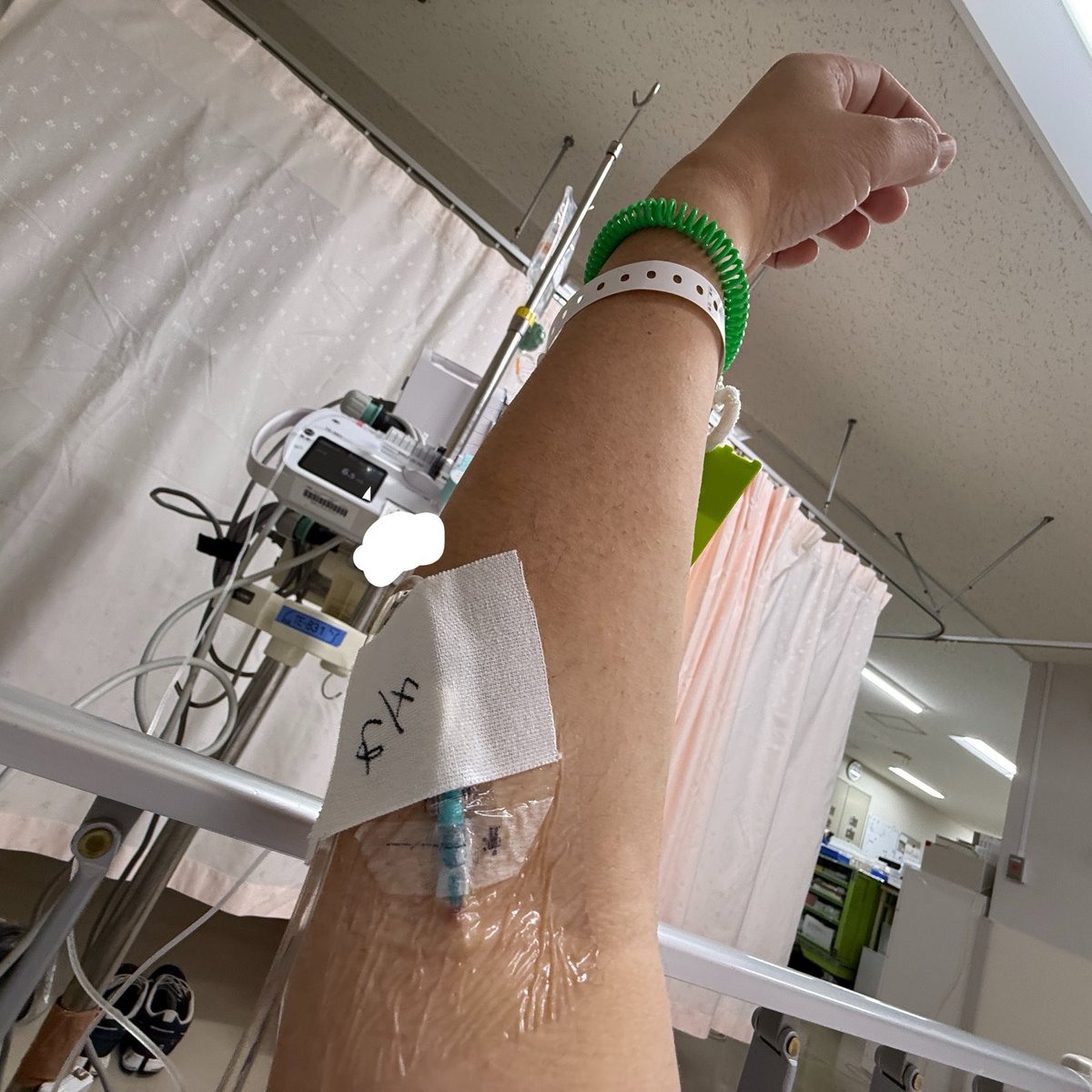 らくまる　-李徴子の蘖- tweet media