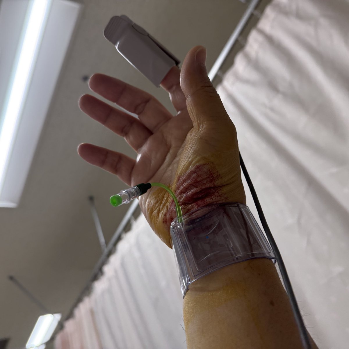 らくまる　-李徴子の蘖- tweet media