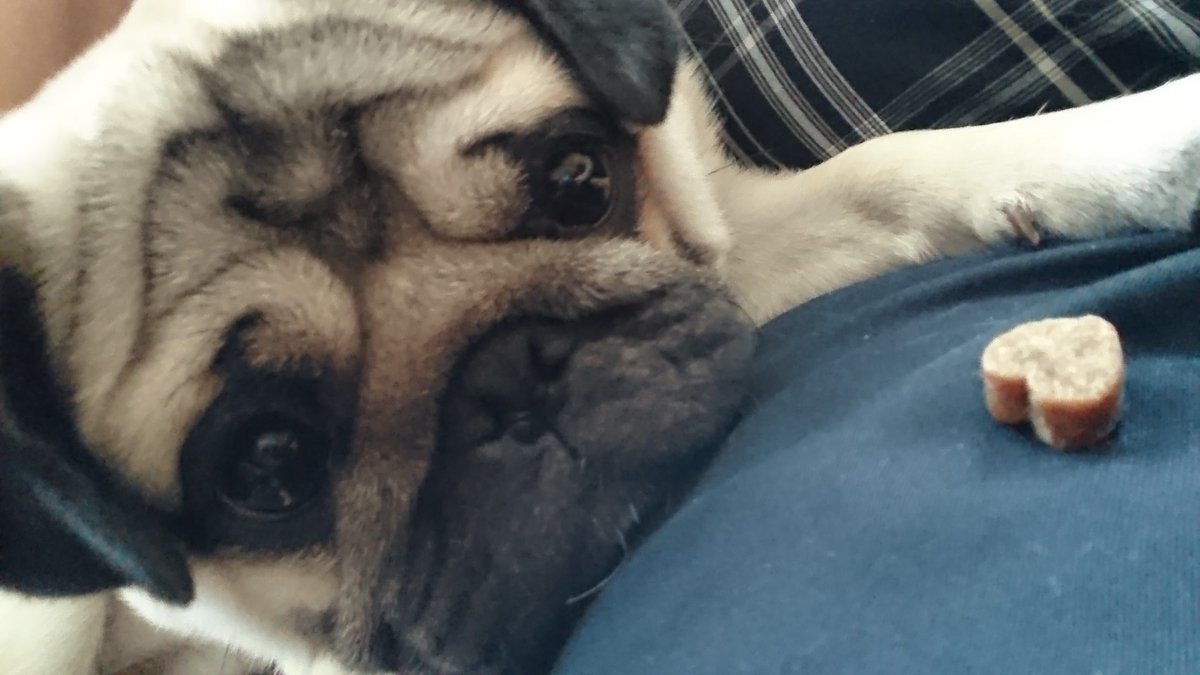 Steve Finlay tweet media