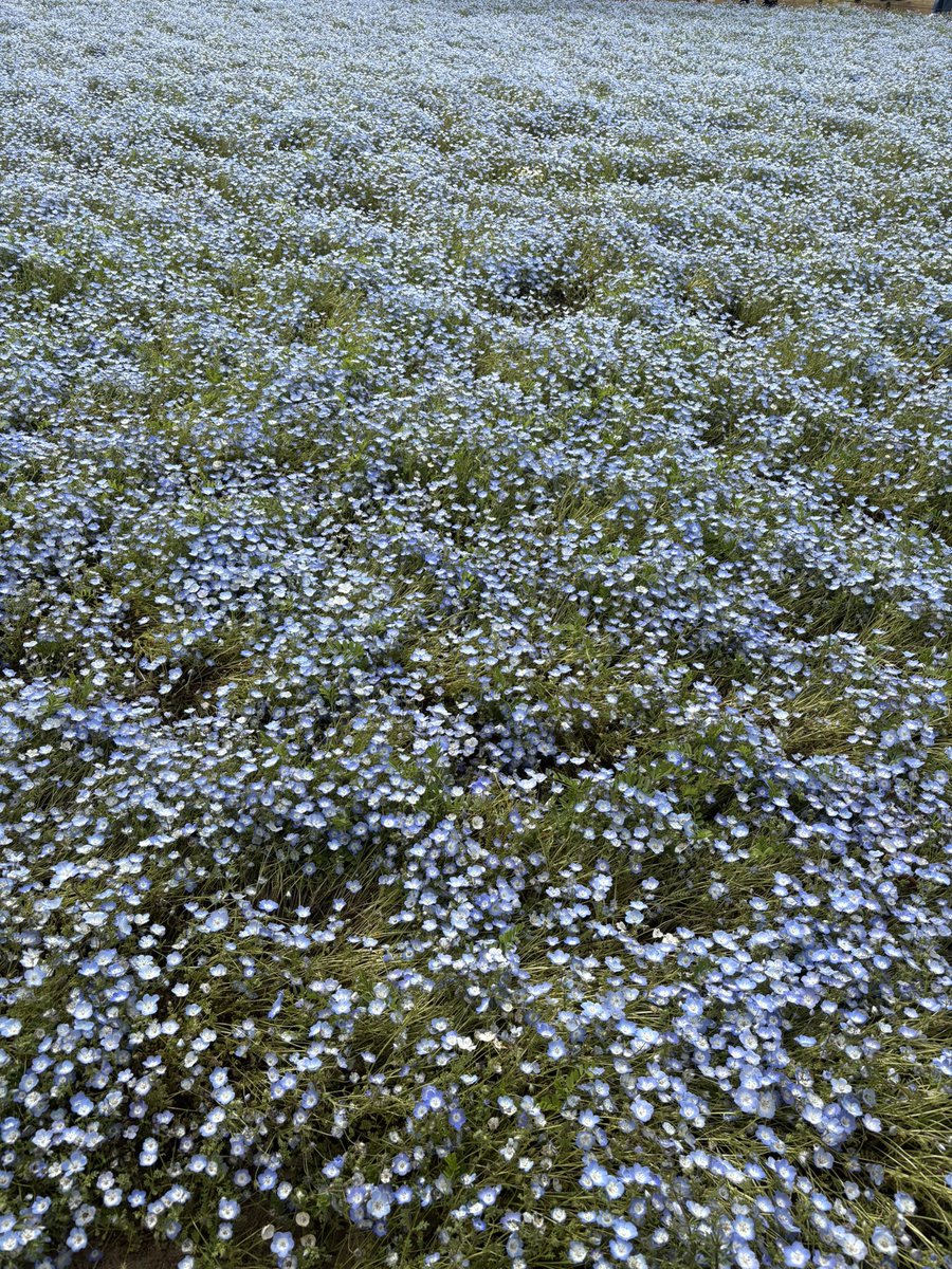 銀次郎ママ tweet media