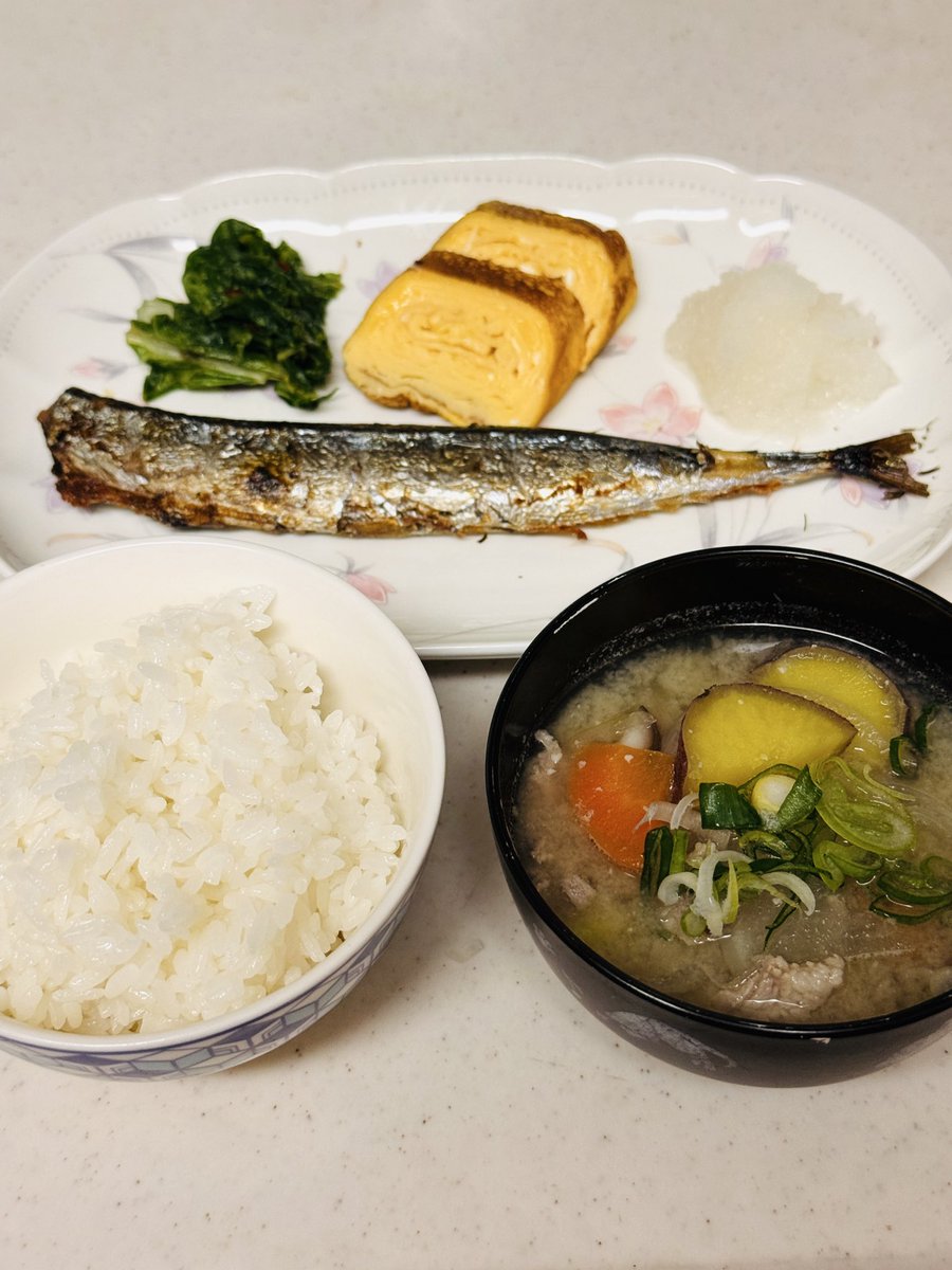 しーさん🐾 tweet media