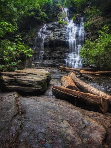 RetiredNavySquid🇺🇸 tweet media