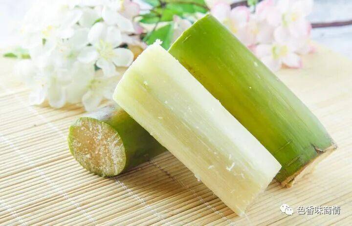 jacques philippe tweet media