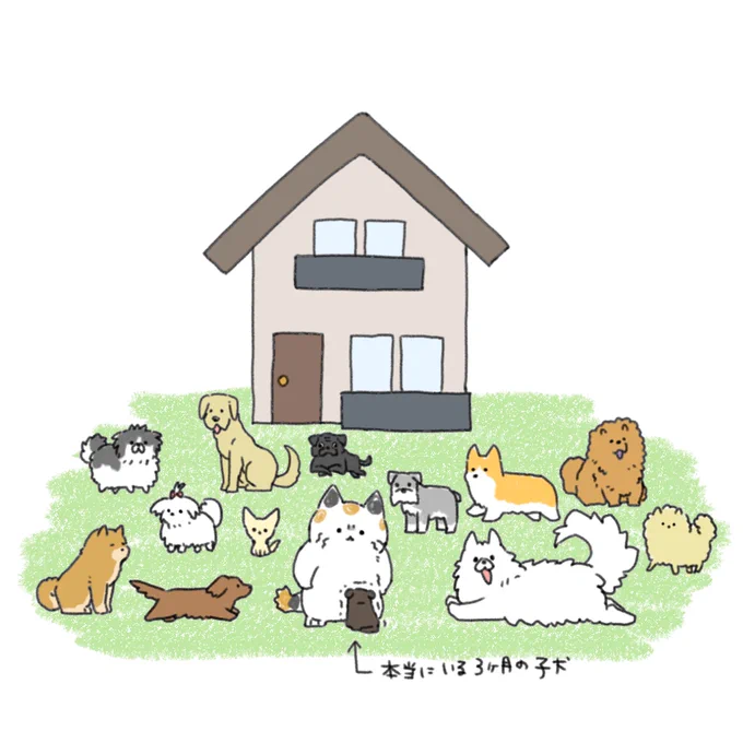 夜な夜な熱にうなされててね。 実家に帰る度にいろんな犬が増えていくという恐ろしい悪夢を毎日見てた。こわ。