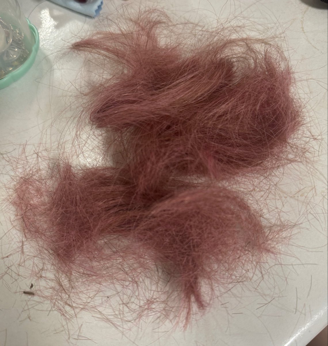 imeow4money's tweet image. 😊