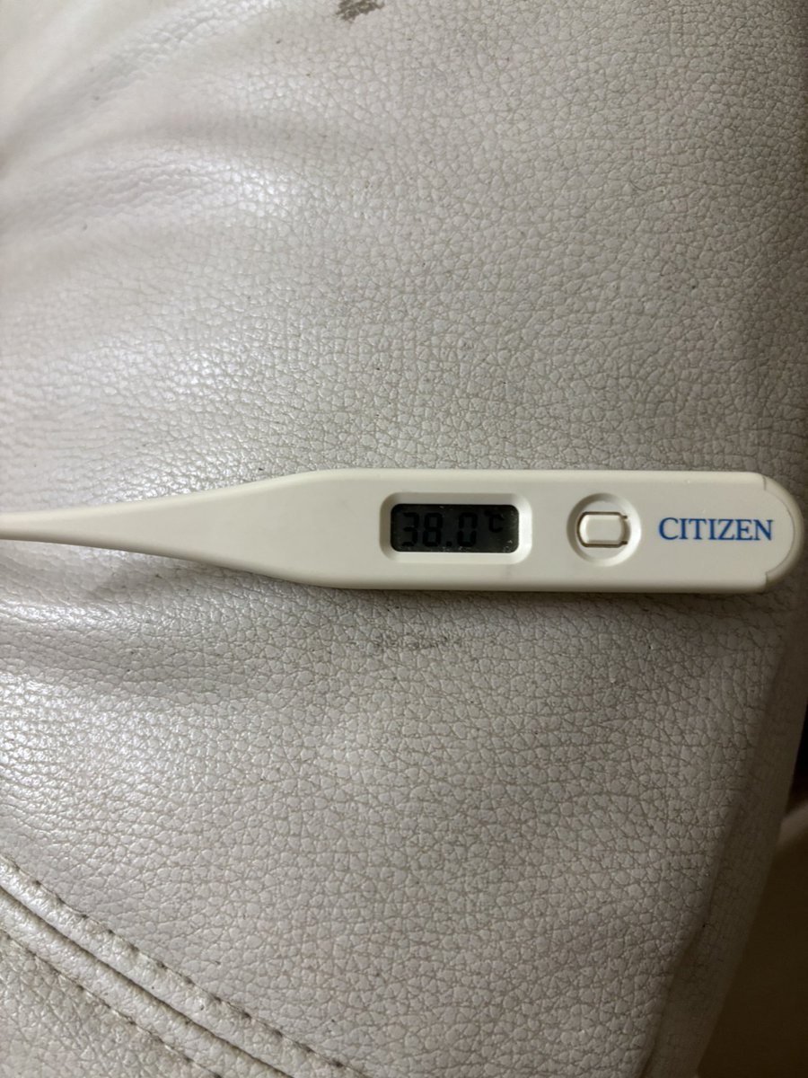 ぶんちゃん tweet media