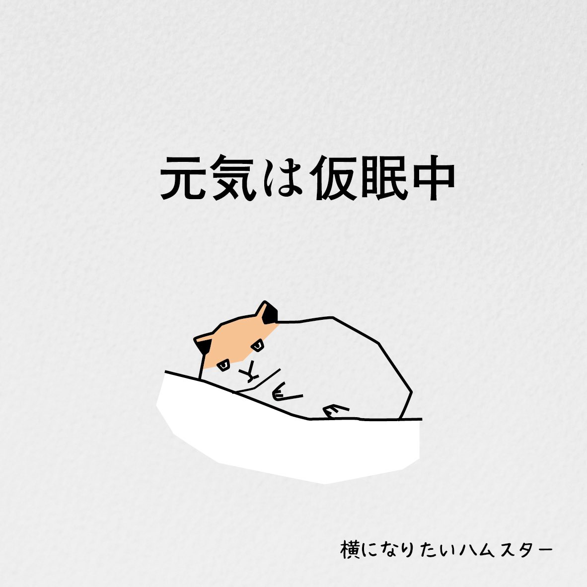 横になりたいハムスター tweet media